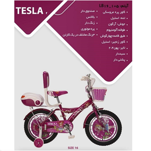 دوچرخه TESLAr آیتم LB16_105 سایز 16-اسباب بازی